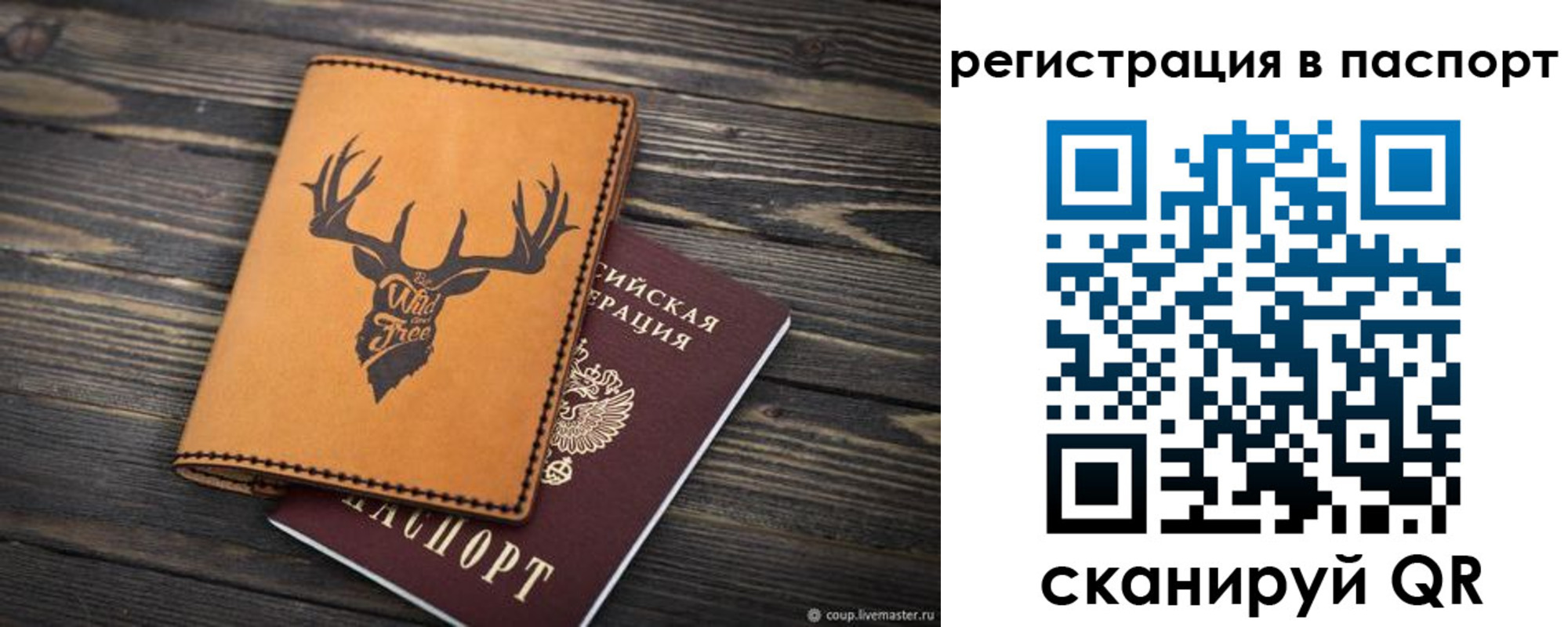 прописка паспорт в Сафоново